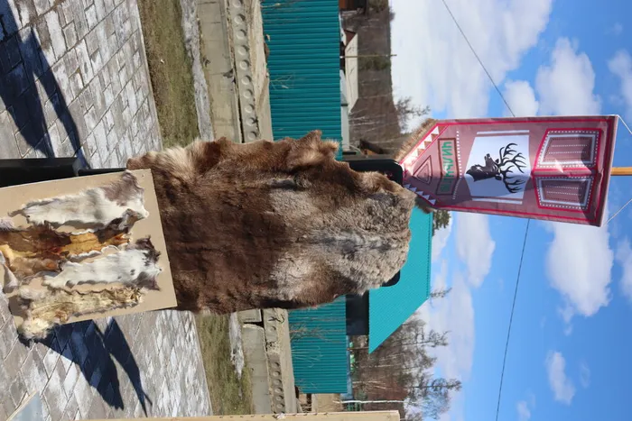 Нэлкини эмэрэн_2026 (58)