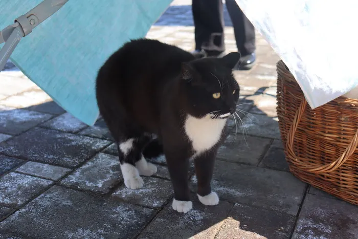 Нэлкини эмэрэн_2026 (23)